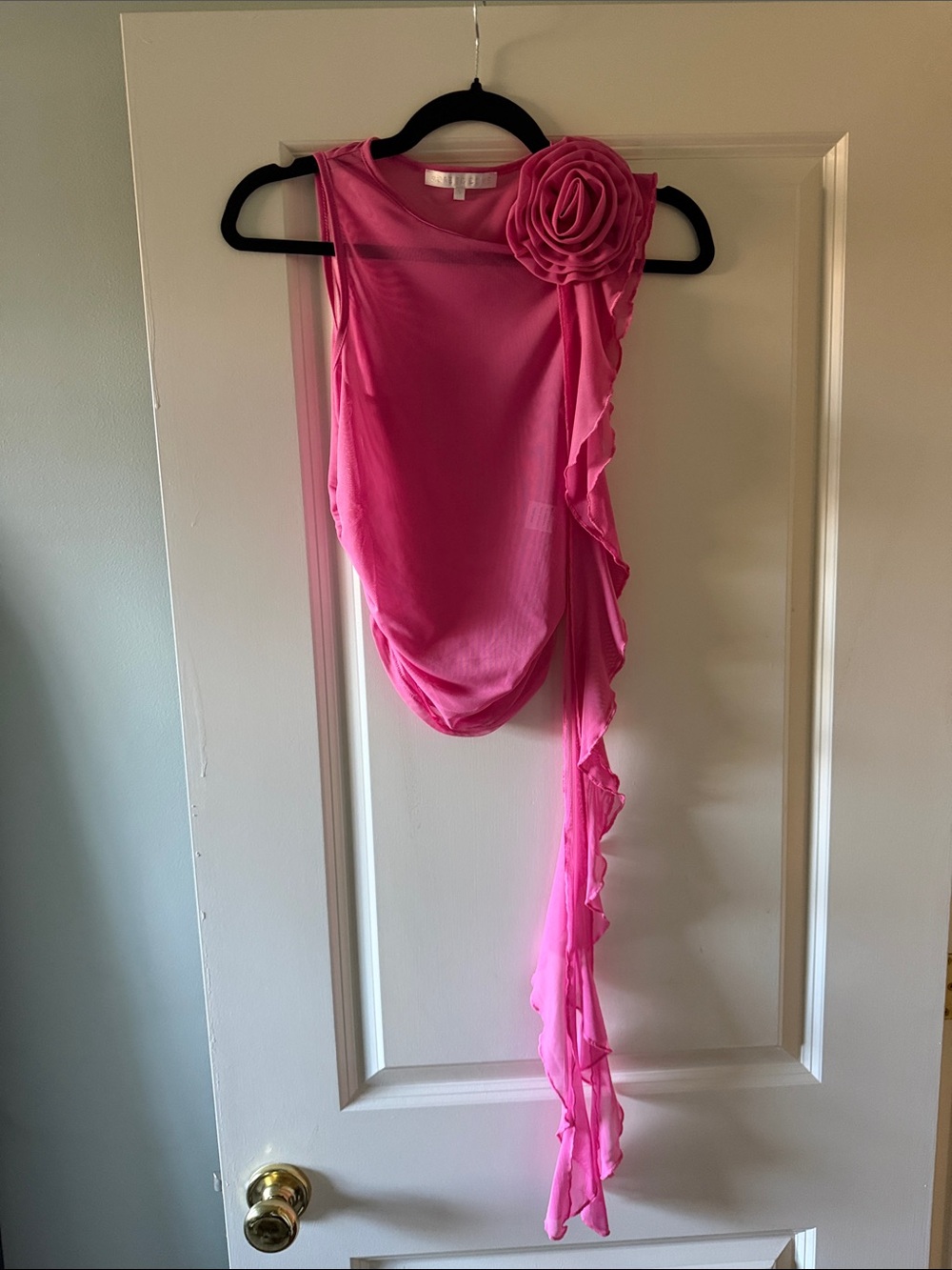 Women’s sheer pink top